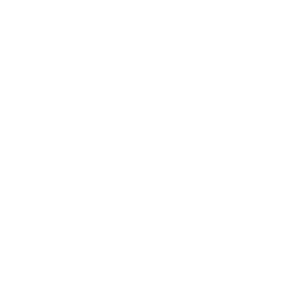 Logo Project NOUS